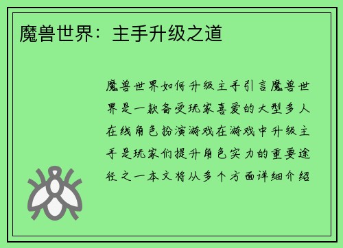 魔兽世界：主手升级之道